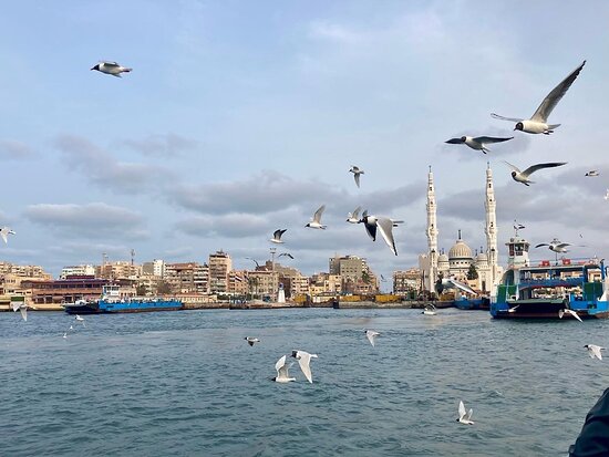 ارخص الاماكن للمصيف2